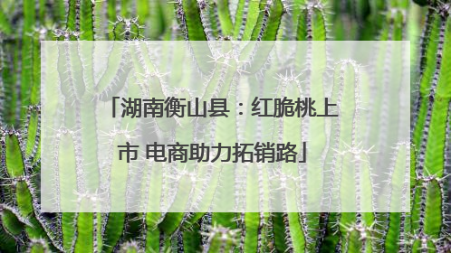 湖南衡山县：红脆桃上市 电商助力拓销路