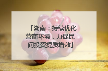 湖南：持续优化营商环境，力促民间投资提质增效