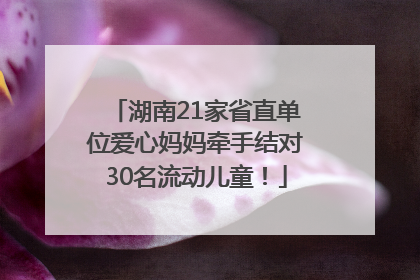 湖南21家省直单位爱心妈妈牵手结对30名流动儿童！