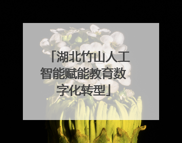 湖北竹山人工智能赋能教育数字化转型