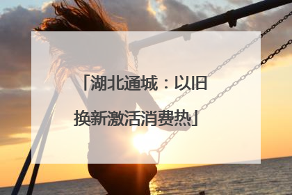 湖北通城：以旧换新激活消费热