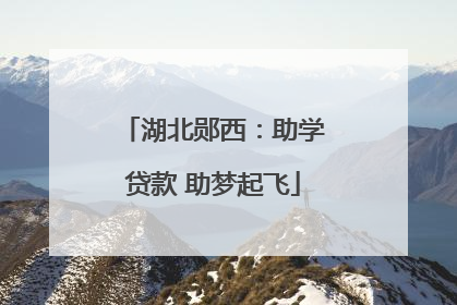 湖北郧西：助学贷款 助梦起飞