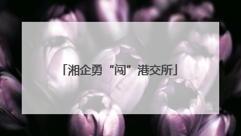 湘企勇“闯”港交所