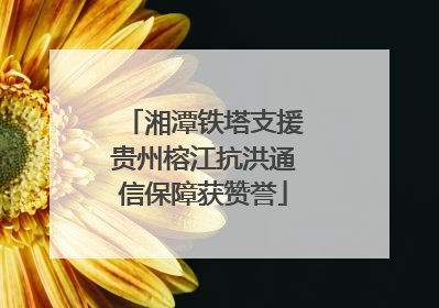 湘潭铁塔支援贵州榕江抗洪通信保障获赞誉