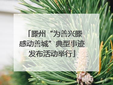 滕州“为善兴滕 感动善城”典型事迹发布活动举行