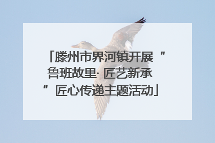 滕州市界河镇开展“鲁班故里· 匠艺新承”匠心传递主题活动