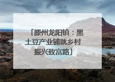 滕州龙阳镇：黑土豆产业铺就乡村振兴致富路