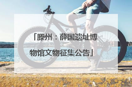 滕州：薛国遗址博物馆文物征集公告