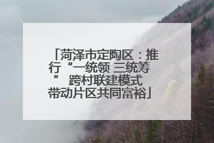 菏泽市定陶区：推行“一统领 三统筹” 跨村联建模式 带动片区共同富裕