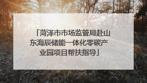 菏泽市市场监管局赴山东海辰储能一体化零碳产业园项目帮扶指导