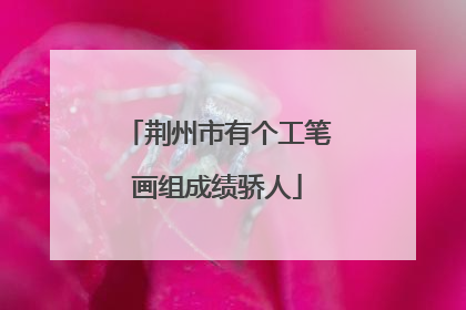 荆州市有个工笔画组成绩骄人