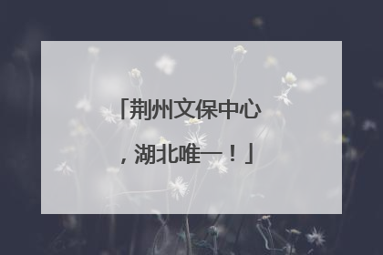 荆州文保中心，湖北唯一！
