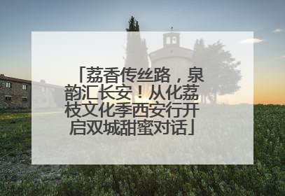 荔香传丝路，泉韵汇长安！从化荔枝文化季西安行开启双城甜蜜对话