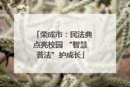 荣成市：民法典点亮校园 “智慧普法”护成长