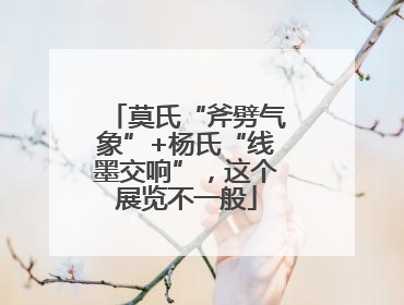 莫氏“斧劈气象”+杨氏“线墨交响”，这个展览不一般