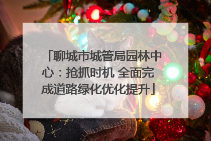 聊城市城管局园林中心：抢抓时机 全面完成道路绿化优化提升