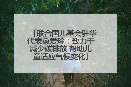 联合国儿基会驻华代表桑爱玲：致力于减少碳排放 帮助儿童适应气候变化