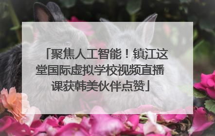 聚焦人工智能！镇江这堂国际虚拟学校视频直播课获韩美伙伴点赞