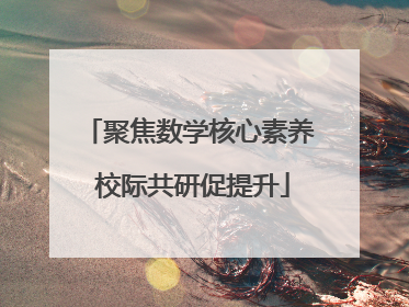 聚焦数学核心素养 校际共研促提升