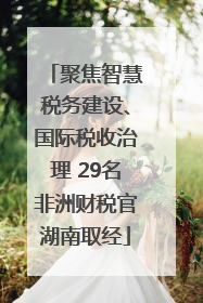 聚焦智慧税务建设、国际税收治理 29名非洲财税官湖南取经