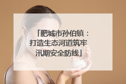 肥城市孙伯镇：打造生态河道筑牢汛期安全防线