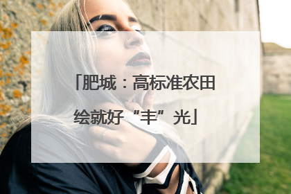 肥城：高标准农田绘就好“丰”光