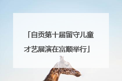 自贡第十届留守儿童才艺展演在富顺举行