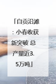 自贡沿滩：小春收获新突破 总产量近3.5万吨