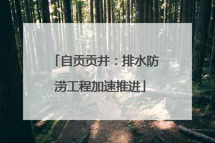 自贡贡井：排水防涝工程加速推进