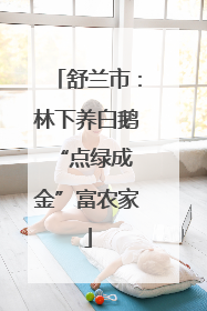 舒兰市：林下养白鹅 “点绿成金”富农家