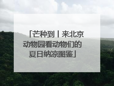 芒种到丨来北京动物园看动物们的夏日纳凉图鉴