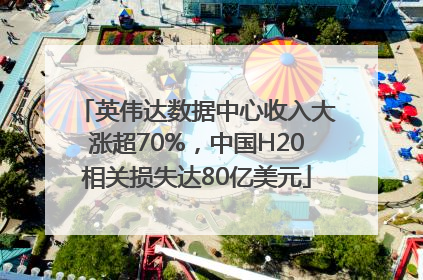 英伟达数据中心收入大涨超70%，中国H20相关损失达80亿美元