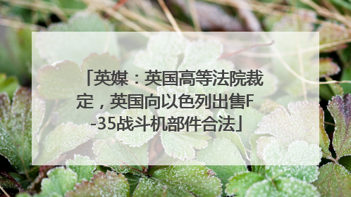 英媒：英国高等法院裁定，英国向以色列出售F-35战斗机部件合法
