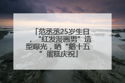 范丞丞25岁生日，“红发漫画男”造型曝光，晒“鹅十五”蛋糕庆祝