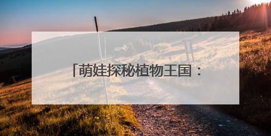 萌娃探秘植物王国：从“会飞的种子”到“善变的绣球花”