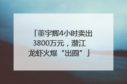 董宇辉4小时卖出3800万元，潜江龙虾火爆“出圈”