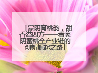 蒙阴育桃韵，甜香溢四方——看蒙阴蜜桃全产业链的创新崛起之路