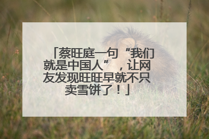 蔡旺庭一句“我们就是中国人”，让网友发现旺旺早就不只卖雪饼了！