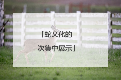 蛇文化的一次集中展示
