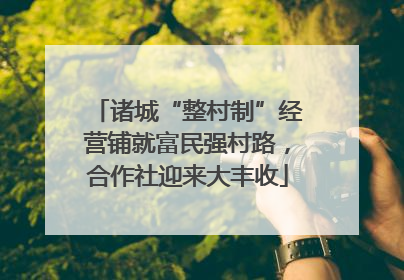 诸城“整村制”经营铺就富民强村路，合作社迎来大丰收