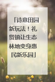 诗意田园新玩法！礼贤镇让生态林地变身惠民新乐园