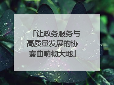 让政务服务与高质量发展的协奏曲响彻大地
