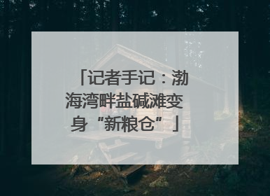 记者手记：渤海湾畔盐碱滩变身“新粮仓”
