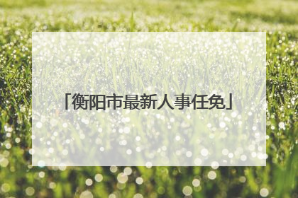 衡阳市最新人事任免