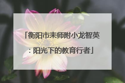 衡阳市耒师附小龙智英：阳光下的教育行者