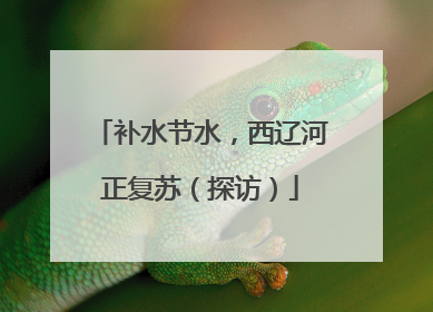 补水节水，西辽河正复苏（探访）