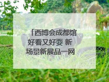 西博会成都馆好看又好耍 新场景新展品一网打尽“成都智造”｜西博视界
