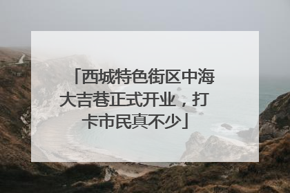 西城特色街区中海大吉巷正式开业，打卡市民真不少