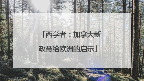 西学者：加拿大新政带给欧洲的启示