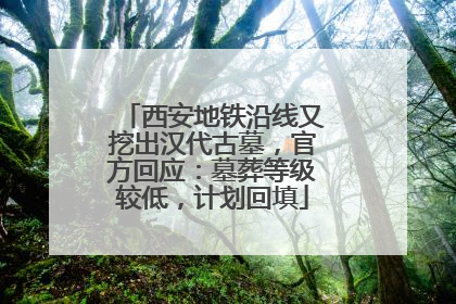 西安地铁沿线又挖出汉代古墓，官方回应：墓葬等级较低，计划回填